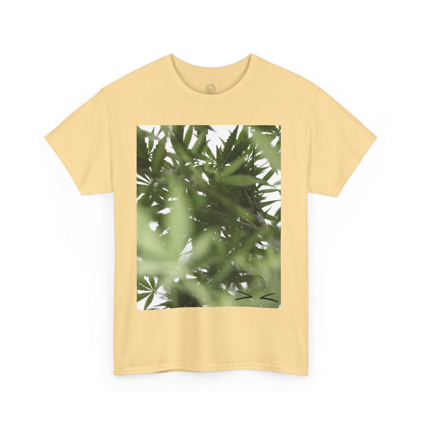 Copy of Unisex Heavy Cotton Tee